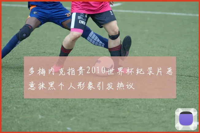多梅内克指责2010世界杯纪录片恶意抹黑个人形象引发热议
