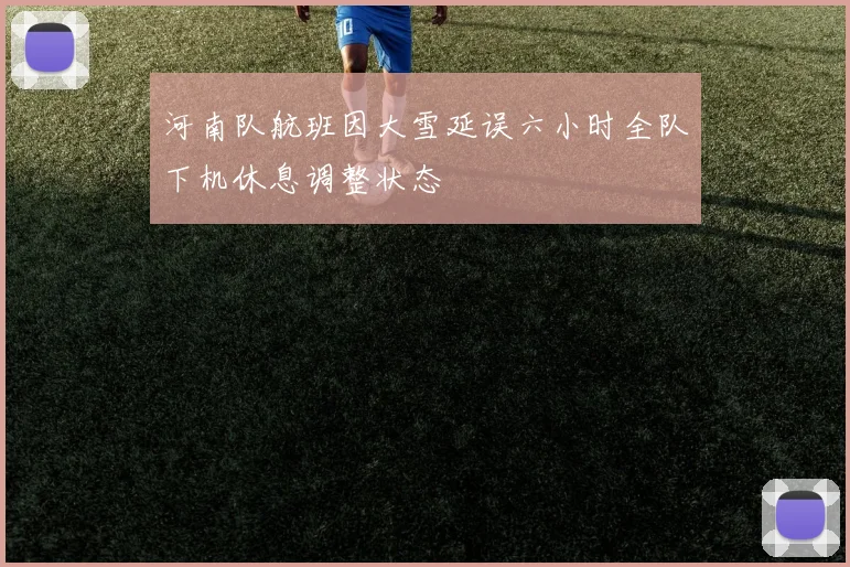 河南队航班因大雪延误六小时全队下机休息调整状态
