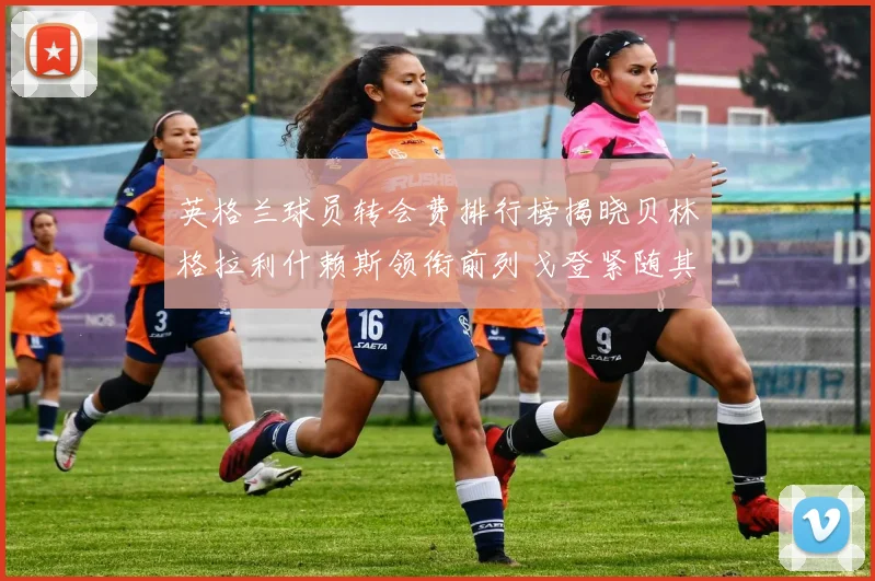 英格兰球员转会费排行榜揭晓贝林格拉利什赖斯领衔前列戈登紧随其后